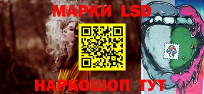 шишки Боровичи