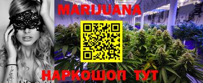 шишки Боровичи