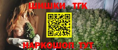 СК Брянск