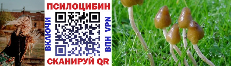 Псилоцибиновые грибы мицелий  где найти   Кореновск 