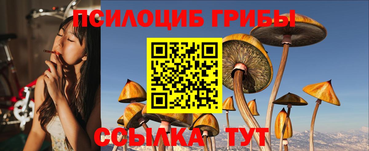 Псилоцибиновые грибы прущие грибы Кореновск