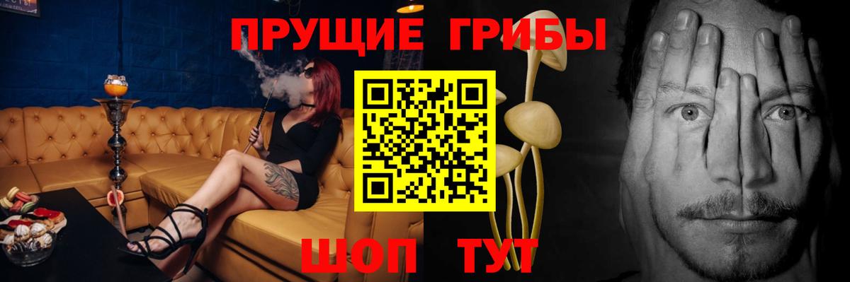 Псилоцибиновые грибы GOLDEN TEACHER  Вход с VPN  Кореновск  Галлюциногенные грибы Cubensis 